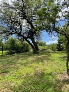 Lote de 1.000 m² con excelente vista en Estancia Q2