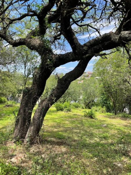 Lote de 1.000 m² con excelente vista en Estancia Q2