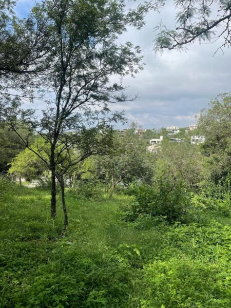 Lote de 1.000 m² con excelente vista en Estancia Q2